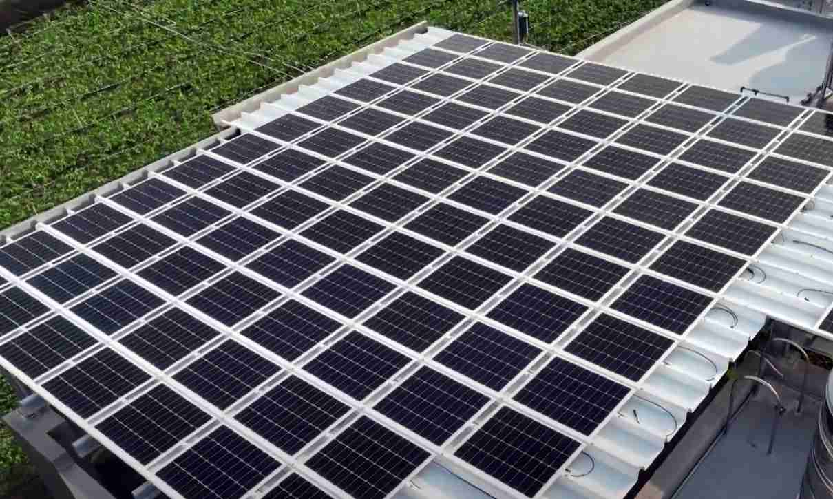 尊龙集团SunSteel光电浪板升级双玻结构，，，以提升机械负载强度及气候耐候度，，可广泛运用于多元场域